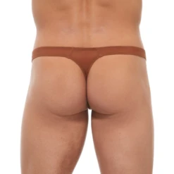 Gregg Homme Torridz Thong - Bronze -Men Underwear Store 11927 71836.1652561642