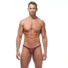 Gregg Homme Torridz Thong - Burgundy -Men Underwear Store 11933 80174.1652561641