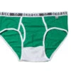 BEAR SKN Brief - Gooseberry Lights -Men Underwear Store 12100 47048.1652561638