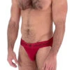 Nasty Pig Core Jockstrap - Red -Men Underwear Store 51702 side 27215.1573685559