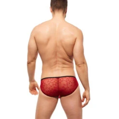 Gregg Homme - Starr Brief - Red -Men Underwear Store 62467 LS2 63404.1686700434