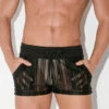 Code 22 - Mesh Pinstripe Shorts - Black -Men Underwear Store 68545 F 20143.1684196235