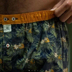 Billybelt - Organic Cotton Boxer Brief - Canopy 9 Billybelt - Organic Cotton Boxer Brief - Canopy -Men Underwear Store 70379 D 34714.1686764701