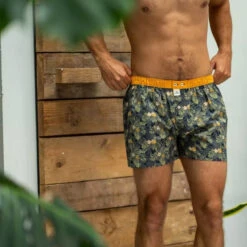 Billybelt - Organic Cotton Boxer Brief - Canopy 10 Billybelt - Organic Cotton Boxer Brief - Canopy -Men Underwear Store 70379 LS 61872.1686764707