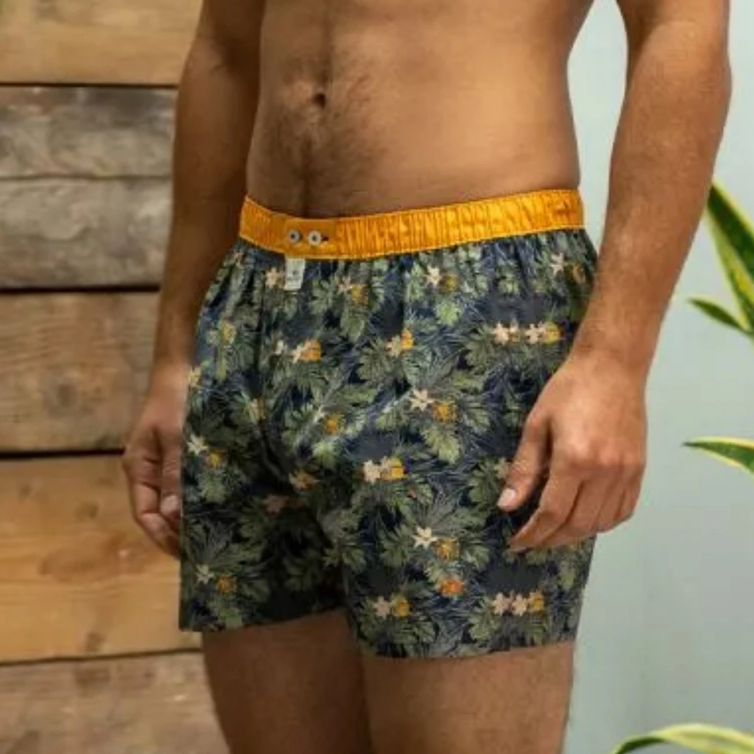 Billybelt - Organic Cotton Boxer Brief - Canopy 4 Billybelt - Organic Cotton Boxer Brief - Canopy - Image 2