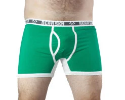 BEAR SKN Trunk - Gooseberry Lights -Men Underwear Store Bear Skn 63469 Green Trunk underU4men2 84471.1646175608